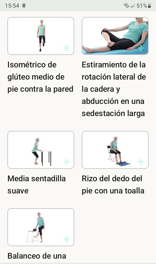Programa de ejercicios en línea Hoffitis