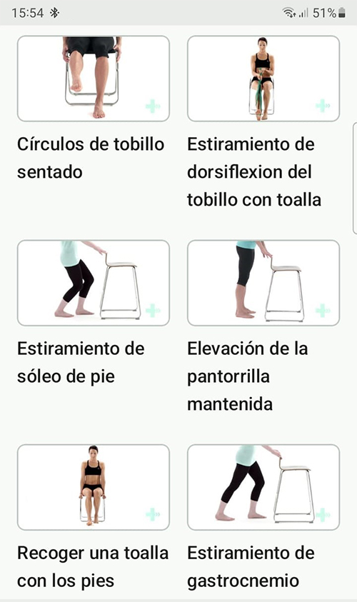 Programa de ejercicios en línea Caída del pie