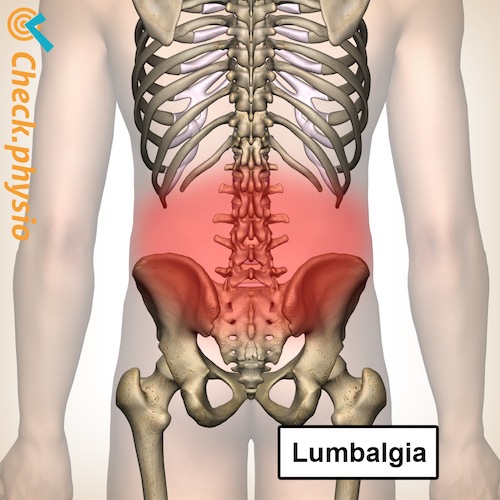 espalda lumbalgia columna vertebral columna esqueleto